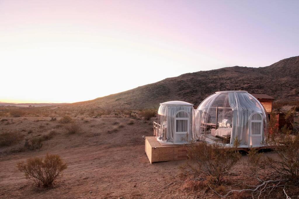 Jthavn-Joshua Tree Remote Dessert Bubble Dome Exterior photo